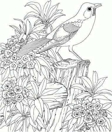 For Teenagers - Coloring Pages for Kids and for Adults