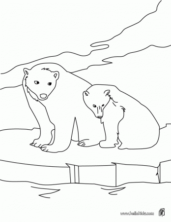 ARCTIC ANIMALS coloring pages - Polar bears