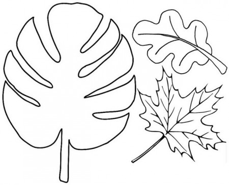 Leaves Nature Coloring Page | Leaf coloring page, Leaf template printable,  Leaf nature