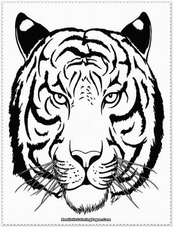 Tiger coloring pages | Animal coloring pages | #19 Free Printable ...