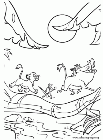 The Lion King - Simba, Timon and Pumbaa crossing a bridge coloring 