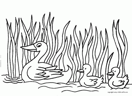duck-coloring-page- | Little Quack