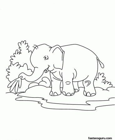 animal baby elephant coloring page for kids printable pages 