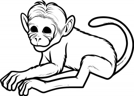 cute monkeys coloring pages : Printable Coloring Sheet ~ Anbu 