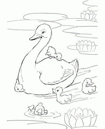 Farm Animal Coloring Pages | Printable Ducks in the pond Coloring 