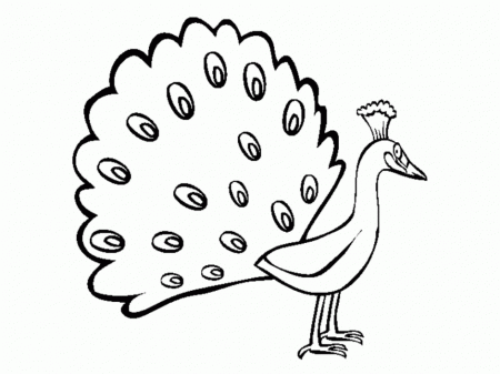 Peacock Feather Coloring Page Pdfcastnet 135634 Peacock Coloring 