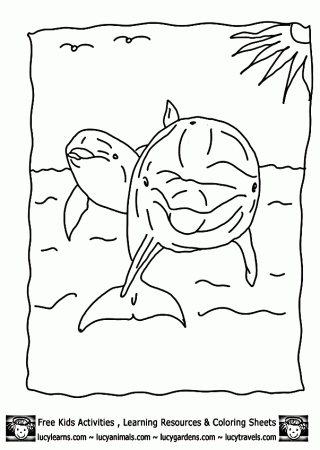 Bottle nose dolphin Colouring Pages