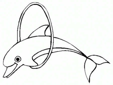 Beautiful Baby Dolphin Coloring Pages | Laptopezine.