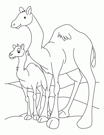 To camel Colouring Pages (page 3)