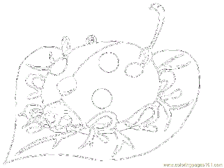 Lady Bug Coloring Page - Free Coloring Pages For KidsFree Coloring 