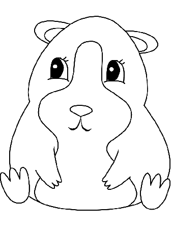 Hamster Coloring Pages Images & Pictures - Becuo