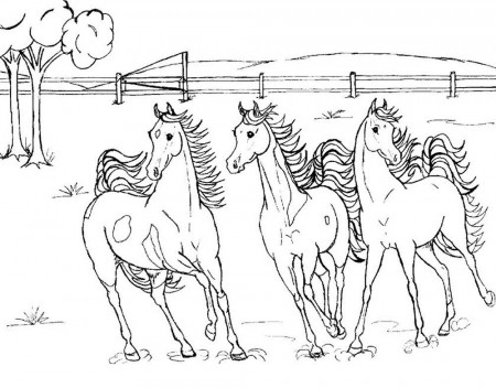 Horse Coloring Pages - Coloringpages1001.
