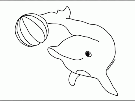 Baby Dolphin Coloring Pages Coloring Pages For Adults Coloring 
