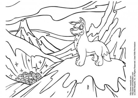 Coloring page neopets winter - img 3309.