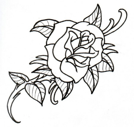 Rose Tattoo Designs | Florist Wall