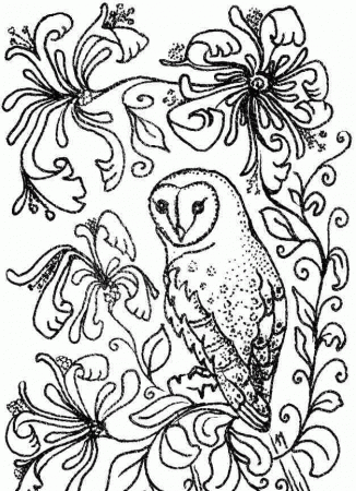 Free Printable Colouring Sheets Animal Owl For Toddler #