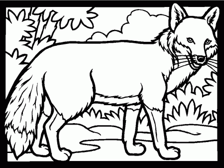 Color Fox Animals Coloring Pages & Coloring Book