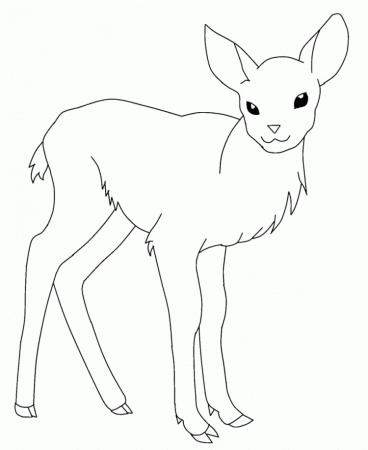 Cute Baby Deer Coloring Pages - Animal Coloring Coloring Pages 