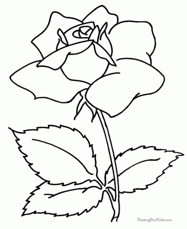 Flower Rose Window Coloring Page