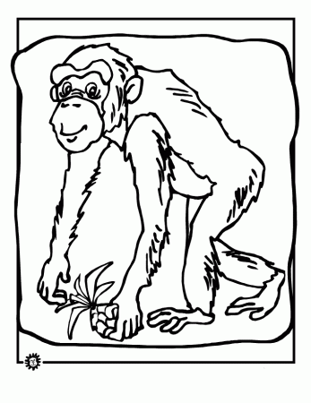 Chimpanzee Coloring Pages To Kids