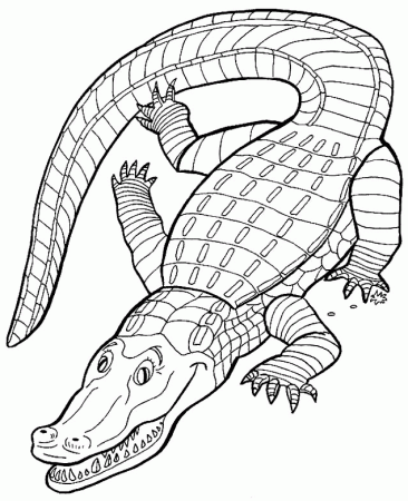 Alligator Coloring Pages | Free coloring pages