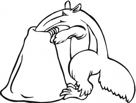 Anteater Coloring Page Coloring For Kids Coloring Download 8761 
