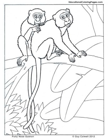 animals coloring sheet | Animal Coloring Pages for Kids