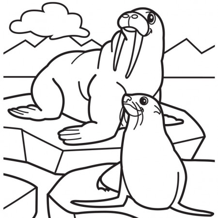 Walrus Coloring