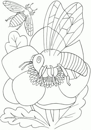 Butterflies And Insects Coloring Pages 18 Butterflies And 292773 