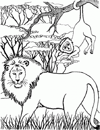 Lions Coloring Pages 10 | Free Printable Coloring Pages 