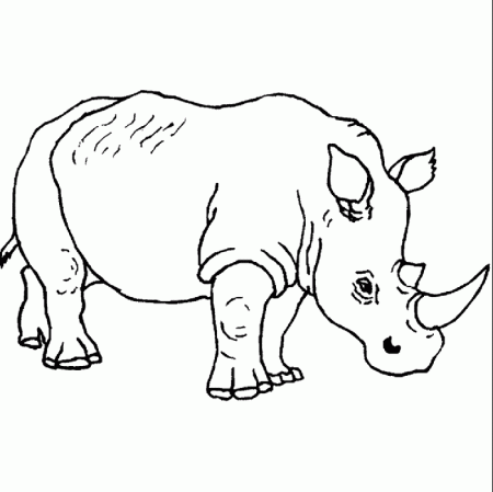 rhino coloring pages for kids | Best Coloring Pages