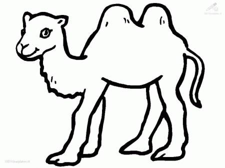 Camels Coloring Pages 86 | Free Printable Coloring Pages