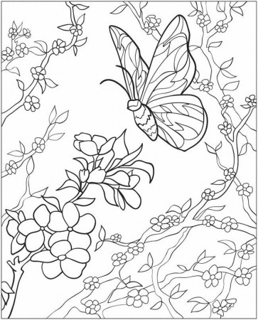 3-D Coloring Pages-Butterflies | Craft-Punchneedle Patterns & Ideas |…