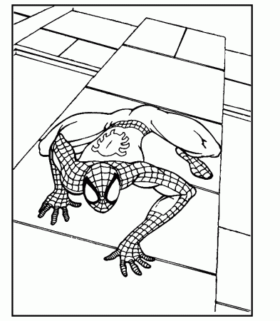 Spectacular spiderman coloring pages - Spiderman Images