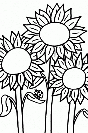 Clip Art Coloring Pages | download free printable coloring pages