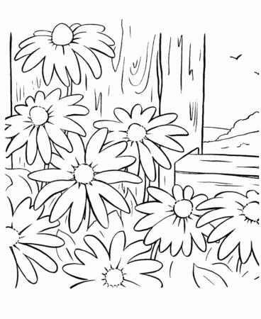color page flower | Coloring Picture HD For Kids | Fransus.com1071 