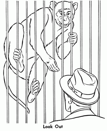 Zoo Animal Coloring Pages | Zoo Monkey stealing a hat Coloring 