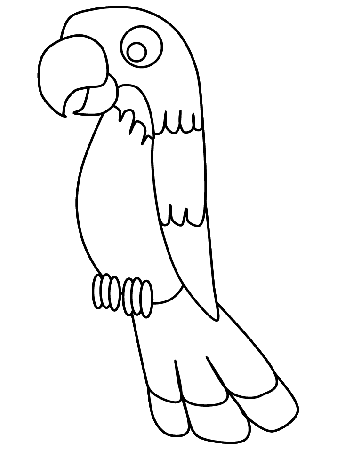 Parrot Coloring Pages