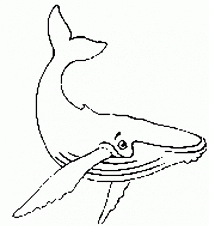 Humpback Whale Coloring Pages For Kids - HD Printable Coloring Pages
