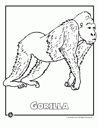 Printable Coloring Pages AnimalsColoring Pages | Coloring Pages