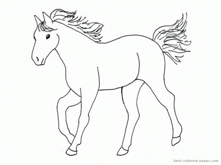 Simple Horse Drawings For Kids Images & Pictures - Becuo