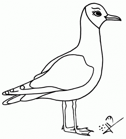 MOUETTE Coloriage