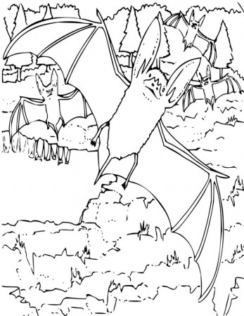 Free Halloween Printables Coloring Pages Free Coloring Pages 2014 