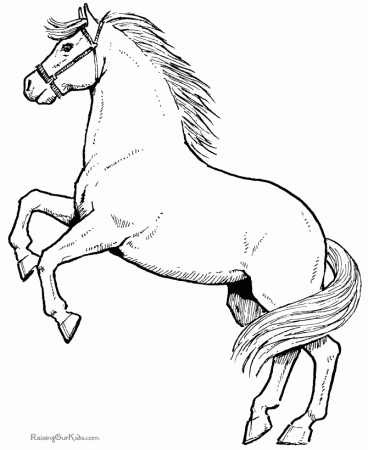 Horse Coloring Pages - Dr. Odd