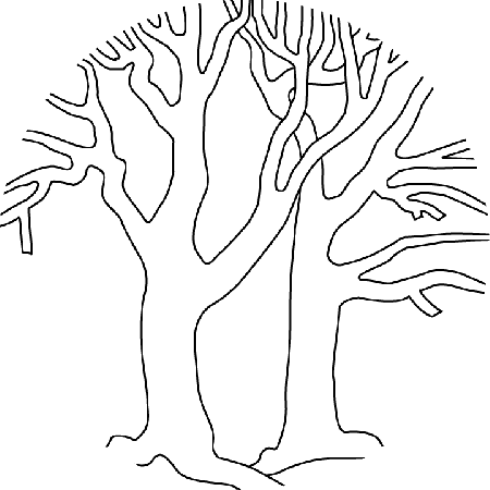 Coloring Pages Bare Trees Bare Trees Printable Version