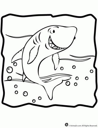 coloring pages shark image search results
