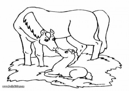 horses coloring pages