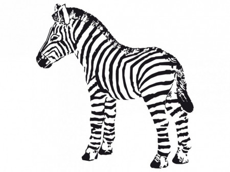Printable Zebra Coloring Page 103 141640 Coloring Pages Of Zebras