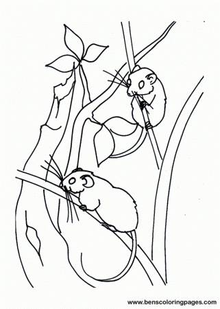 Two little mice coloring page