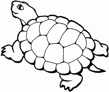 Coloring Pages: Turtles Free Printable Coloring Pages